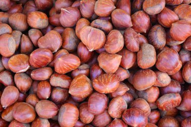 Tatlı kestane ağacı (