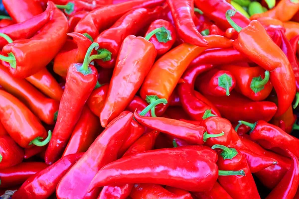 Red hot chili peppers, Pimientos Choriceros, hot guindilla peppers