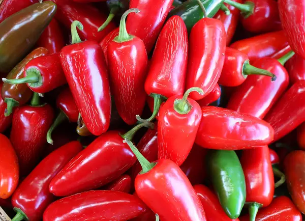 Red hot chili peppers, Pimientos Choriceros, hot guindilla peppers