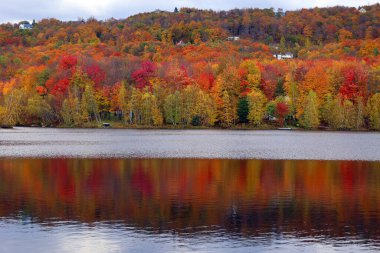 Kuzey Amerika doğudaki Bromont-Shefford Quebec eyaleti Kanada 'ya düştü