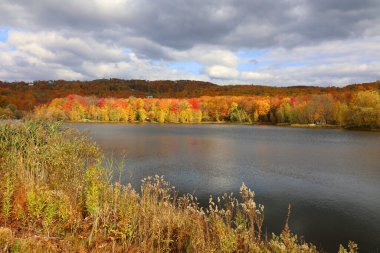 Kuzey Amerika doğudaki Bromont-Shefford Quebec eyaleti Kanada 'ya düştü