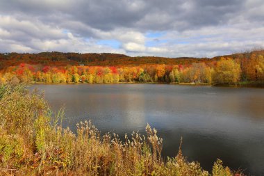 Kuzey Amerika doğudaki Bromont-Shefford Quebec eyaleti Kanada 'ya düştü