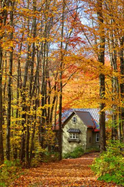 BROMONT QUEBEC CANADA 10 19 2023: Sonbaharda Kanada 'nın doğusundaki Shellord Quebec eyaleti Kanada' daki tipik bir ev