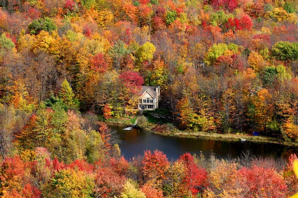 Herbstfärbung Laub Von Vermont Usa lizenzfreie Stockbilder