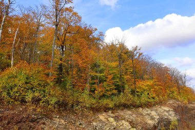 Kuzey Amerika doğudaki Bromont-Shefford Quebec eyaleti Kanada 'ya düştü