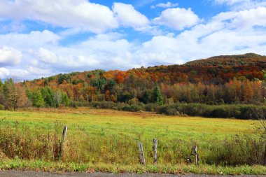 Kuzey Amerika doğudaki Bromont-Shefford Quebec eyaleti Kanada 'ya düştü