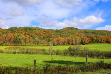 Renkli ağaçlarla dolu sonbahar manzarası