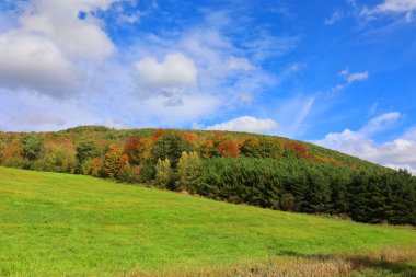 Dağlarda sonbahar manzarası