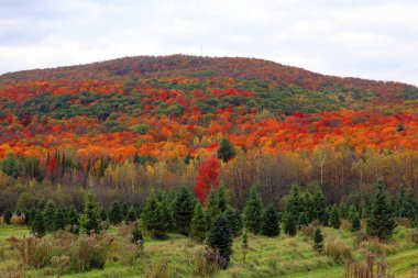 Dağlardaki renkli sonbahar manzarası