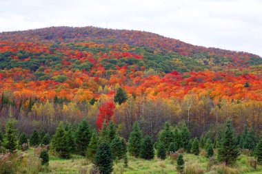 Kuzey Amerika doğudaki Bromont-Shefford Quebec eyaleti Kanada 'ya düştü