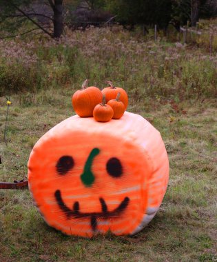 Granby QueBEC CANADA 10. 28 2023: Cadılar bayramı dönemi için komik balkabağı