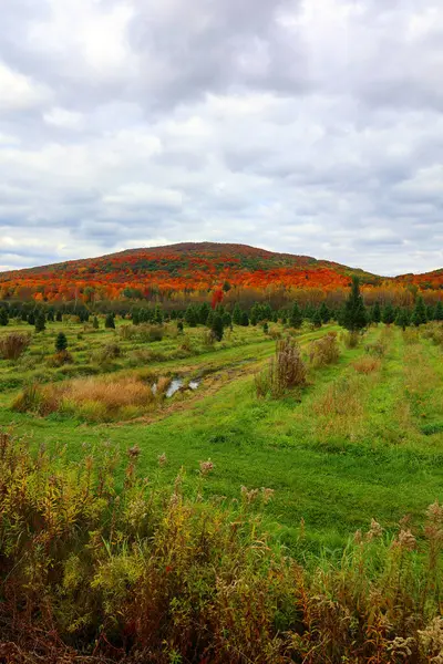 Kuzey Amerika doğudaki Bromont-Shefford Quebec eyaleti Kanada 'ya düştü