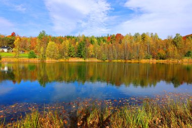 Sonbahar gölü ve sonbahar mevsiminde orman.