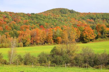 Kuzey Amerika doğudaki Bromont-Shefford Quebec eyaleti Kanada 'ya düştü