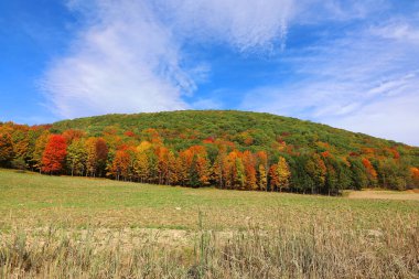 Dağlardaki renkli sonbahar manzarası