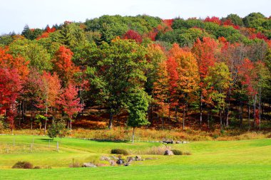 Kuzey Amerika doğudaki Bromont-Shefford Quebec eyaleti Kanada 'ya düştü