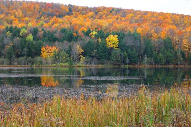 Kuzey Amerika doğudaki Bromont-Shefford Quebec eyaleti Kanada 'ya düştü
