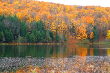 Kuzey Amerika doğudaki Bromont-Shefford Quebec eyaleti Kanada 'ya düştü