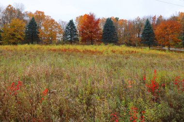 Kuzey Amerika doğudaki Bromont-Shefford Quebec eyaleti Kanada 'ya düştü