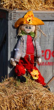 Büyük anne Kanadalı 10. 2022 Cadılar Bayramı için komik bir korkuluk.