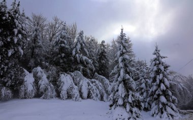 Doğu Kasabası Quebec Kanada 'da kar fırtınası üstüne kış manzarası