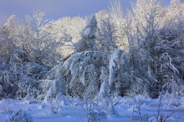 Doğu Kasabası Quebec Kanada 'da kar fırtınası üstüne kış manzarası