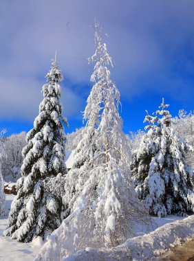 Doğu Kasabası Quebec Kanada 'da kar fırtınası üstüne kış manzarası