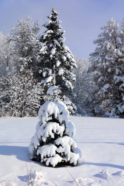 Doğu Kasabası Quebec Kanada 'da kar fırtınası üstüne kış manzarası