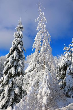 Doğu Kasabası Quebec Kanada 'da kar fırtınası üstüne kış manzarası