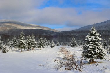 Doğu Kasabası Quebec Kanada 'da kar fırtınası üstüne kış manzarası