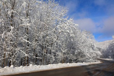 Doğu Kasabası Quebec Kanada 'da kar fırtınası üstüne kış manzarası