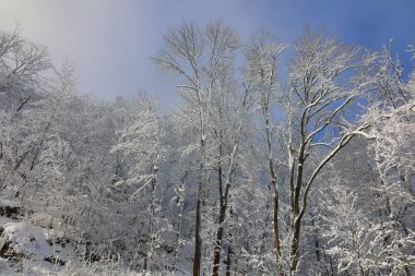 Doğu Kasabası Quebec Kanada 'da kar fırtınası üstüne kış manzarası