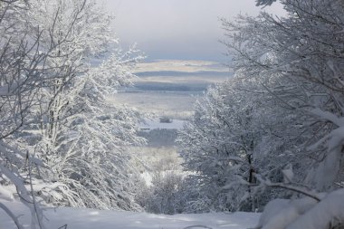 Doğu Kasabası Quebec Kanada 'da kar fırtınası üstüne kış manzarası