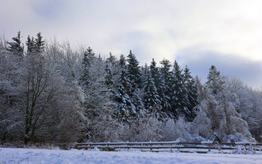 Doğu Kasabası Quebec Kanada 'da kar fırtınası üstüne kış manzarası