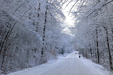 Doğu Kasabası Quebec Kanada 'da kar fırtınası üstüne kış manzarası