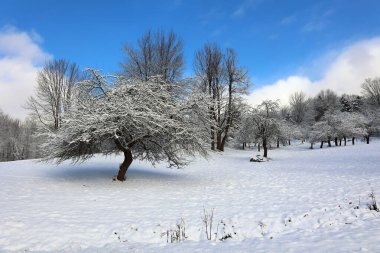 Doğu Kasabası Quebec Kanada 'da kar fırtınası üstüne kış manzarası