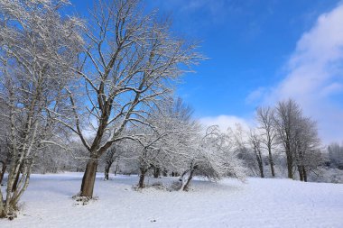Doğu Kasabası Quebec Kanada 'da kar fırtınası üstüne kış manzarası
