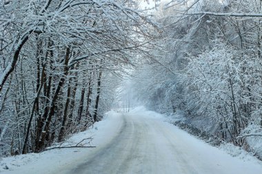 Doğu Kasabası Quebec Kanada 'da kar fırtınası üstüne kış manzarası