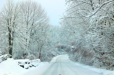 Doğu Kasabası Quebec Kanada 'da kar fırtınası üstüne kış manzarası