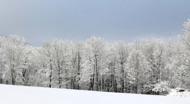 Doğu Kasabası Quebec Kanada 'da kar fırtınası üstüne kış manzarası
