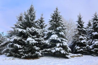 Doğu Kasabası Quebec Kanada 'da kar fırtınası üstüne kış manzarası