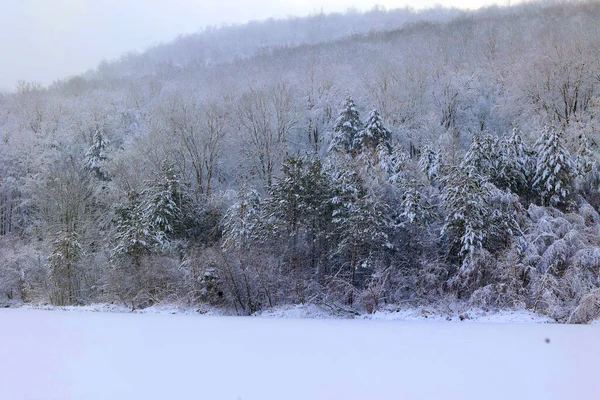 Paisaje Invernal Tras Tormenta Nieve Eastern Township Quebec Canadá Imágenes de stock libres de derechos