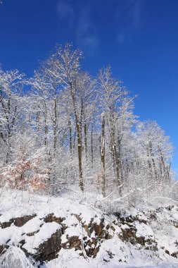 Kış manzarası Bromont Shefford Quebec Kanada      