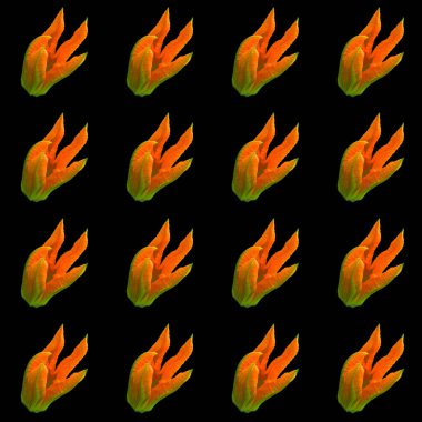 Kabak çiçeği, kabak ya da kabak kabağı, kabak ya da bebek iliği, olgunlaşmamış tohumları ve epikarpları hasat edildiğinde meyveleri toplanan sarmaşık bitkisi olan bir yaz kabağıdır.    