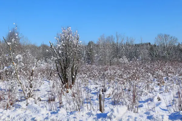 Kış manzarası Bromont Shefford Quebec Kanada