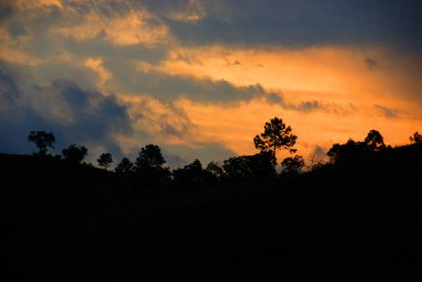 Svaziland, Afrika 'da puslu bir şafak Güney Afrika' da karaya oturmuş bir ülkedir.