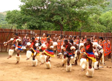 MANZINI, SWAZILAND - 25 Kasım 2010 'da Manzini, Svaziland' da Swazi şovunun sunumu sırasında geleneksel kıyafetler giyen kimliği belirsiz genç erkek ve kadınlar
