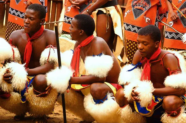 MANZINI, SWAZILAND - 25 Kasım 2010 'da Manzini, Svaziland' da Swazi 'nin sunumu sırasında geleneksel kıyafetler giyen kimliği belirsiz genç erkekler