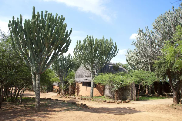 KWAZULU, NATAL - Kasım 05, 2009: Zulu kırsal kesimde yaşayan KwaZulu, Güney Afrika 'da yaşayan bir bantustan' dı.