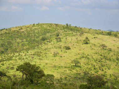 Lesotho Manzarası (resmi adıyla Lesotho Krallığı), Güney Afrika Cumhuriyeti tarafından çevrelenmiş, denize kıyısı olmayan bir ülkedir..